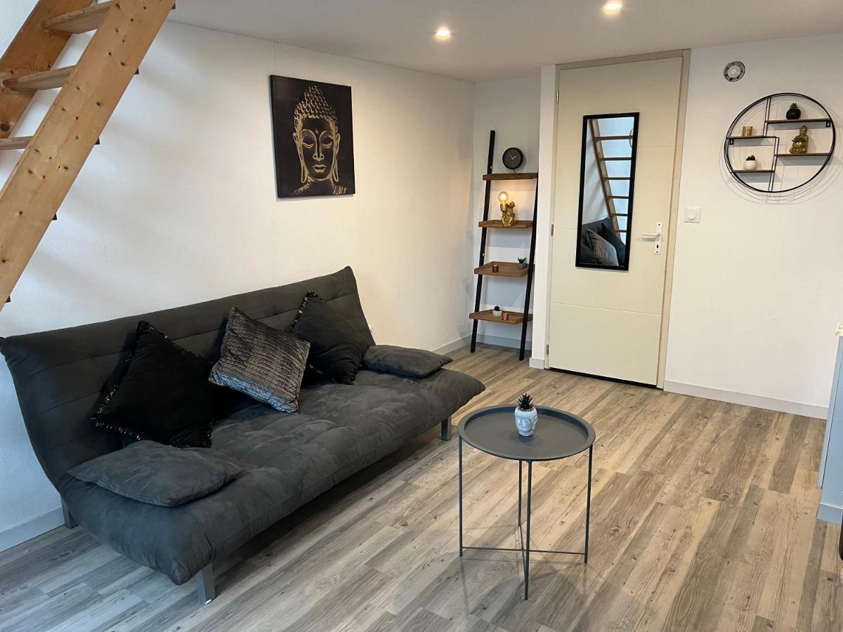 Appartement Cosy Proche Gare トゥールーズ エクステリア 写真